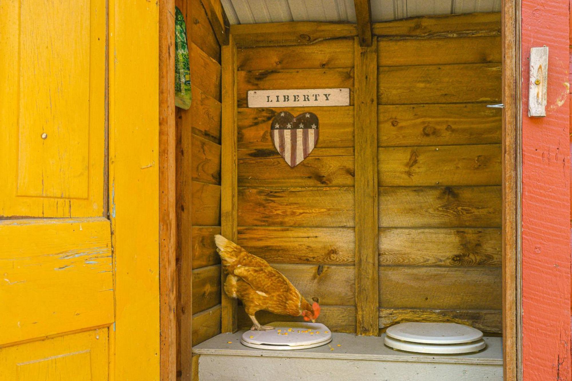 Historic Keystone Cabin Near Mount Rushmore! Ngoại thất bức ảnh