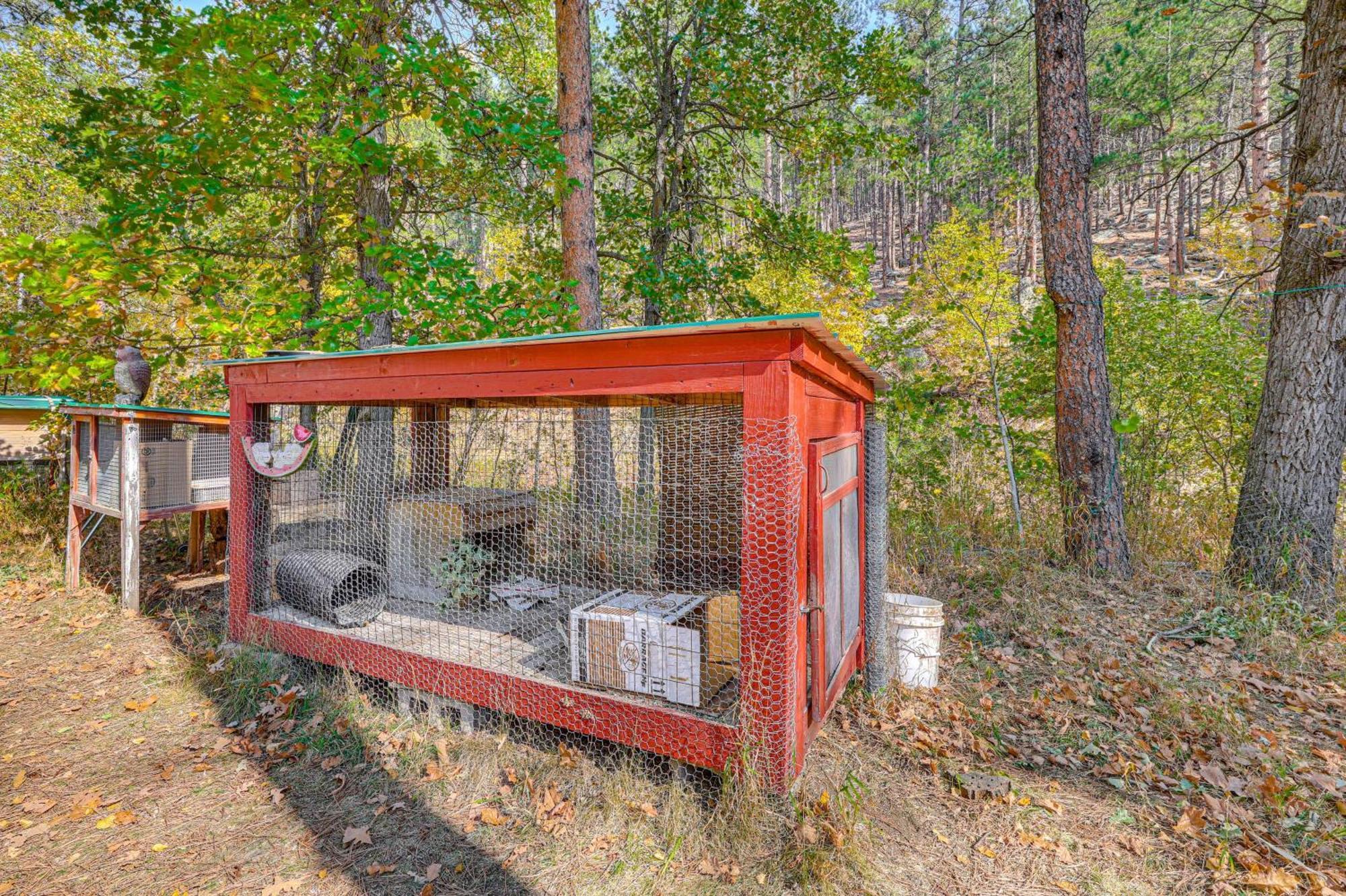 Historic Keystone Cabin Near Mount Rushmore! Ngoại thất bức ảnh