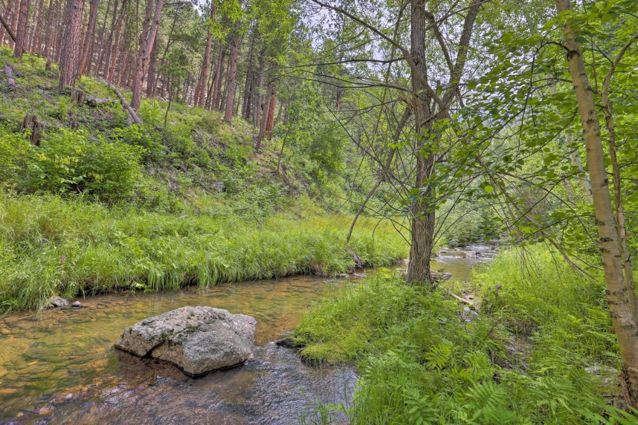 Historic Keystone Cabin Near Mount Rushmore! Ngoại thất bức ảnh